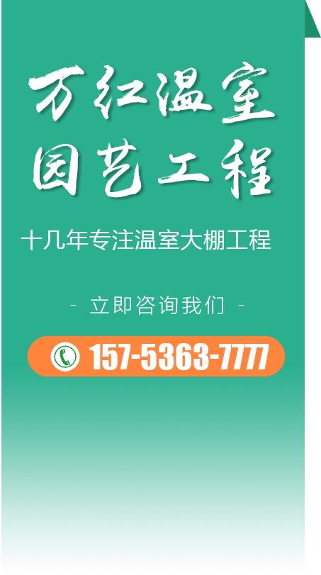 選擇我們的4大理由